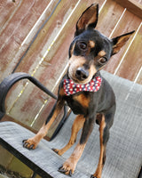 Stars and Stripes Pet Bow tie