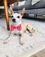 Red White Gingham Pet Bow tie